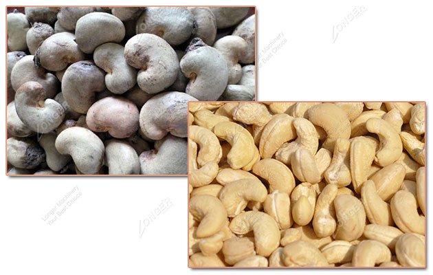 Raw Cashew Nut Processing Method in Factory