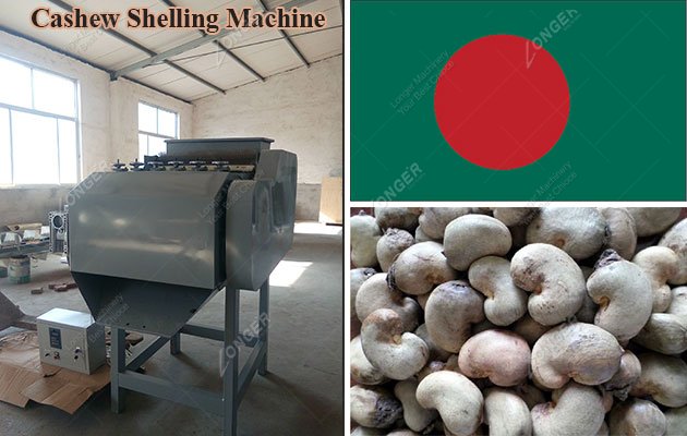 Cashew Nut Shelling Line Bangladesh