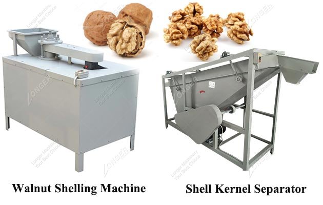 Walnut Shelling Machine in Germany