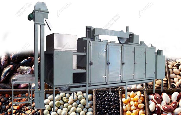 Commercial Sunflower Seed Roasting Machine for Sale