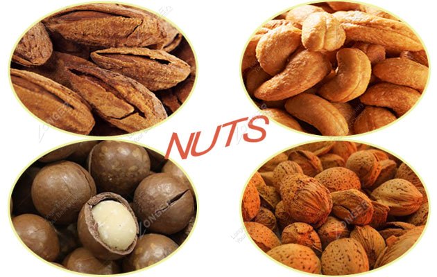 belt type almond nuts roasting machine