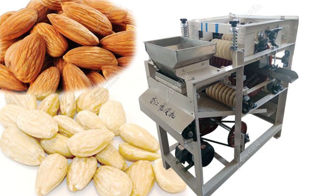 Almond Wet Peeling Machine Price
