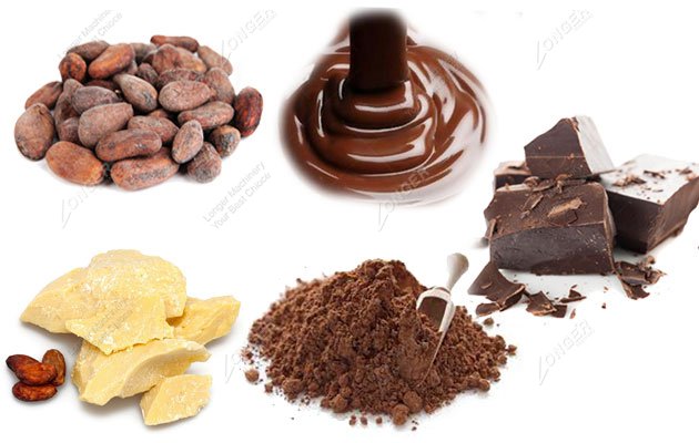 Cocoa Bean Processing Steps