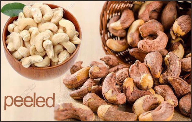 Cashew Nut Decorticator Machine Suppliers