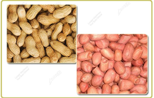 Technical Points of Peanut Machinery
