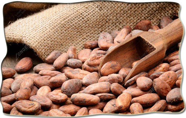 Cocoa Bean Effects