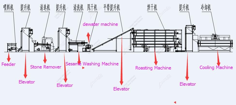 Sesame Seed Washing and Drying Machine