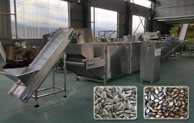 Roasted Flavored Sunflower Seed Processing Machine