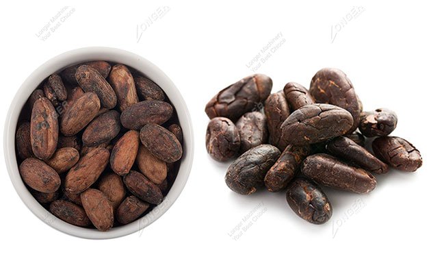 Cocoa Powder Manufacturing Process in Plant