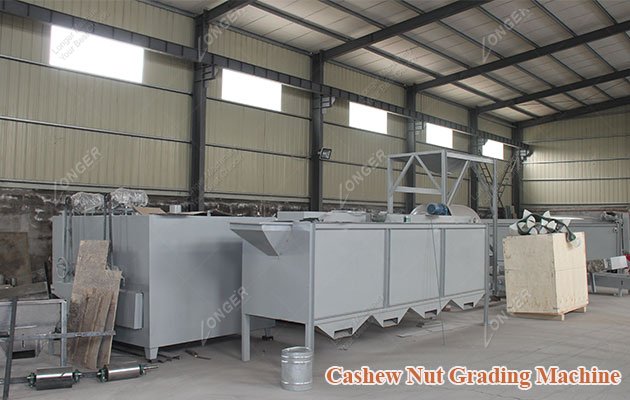 Fully Automatic Cashew Nut Processing Machine Price