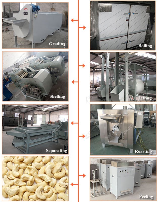 Raw Cashew Nut Shelling Process in Factory