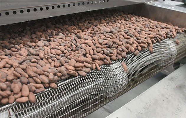 Belt-type Cocoa Beans Roasting Machine