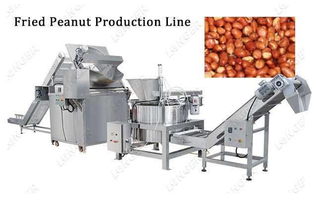 Complete Peanut Frying Line