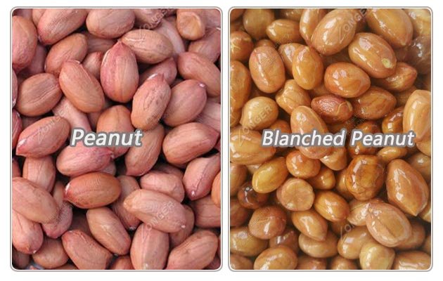 Blanched Peanuts