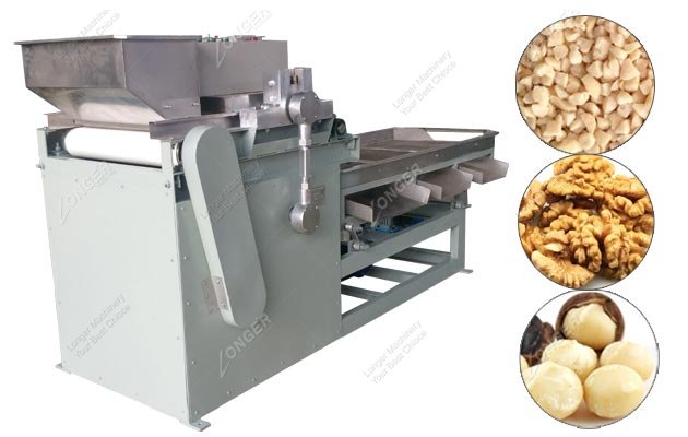 Walnut Dicer Machine for Sale