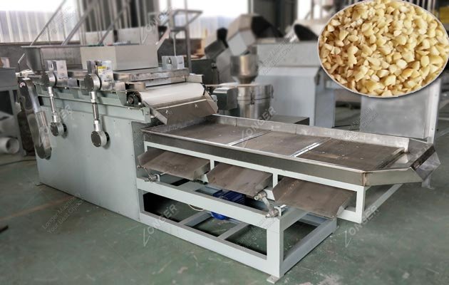 Hazelnut Cutting Unit Price