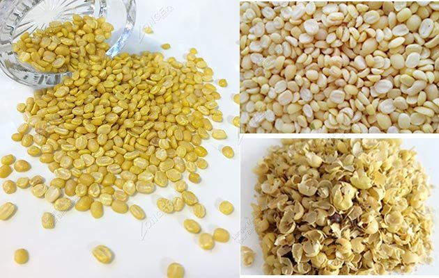 Peeled Mung Bean