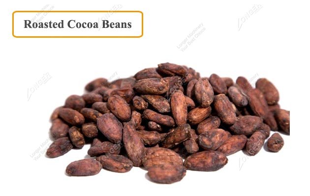 Roasted Cocoa Beans