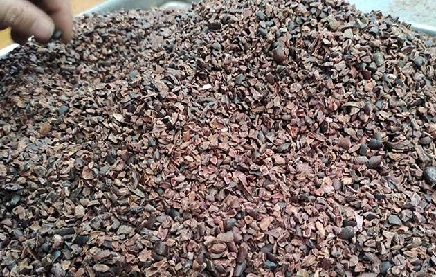 Stainless Steel Cocoa Bean Peeling Machine